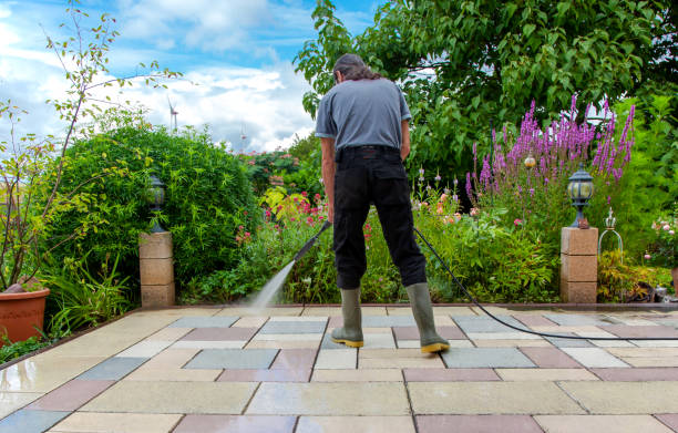Best Fence Cleaning  in Mays Landing, NJ
