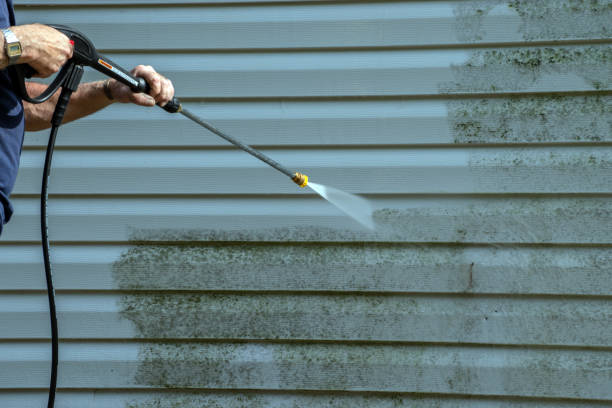 Best Building Exterior Washing  in Mays Landing, NJ